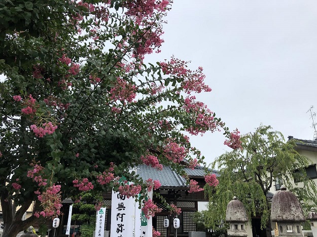 涼しいお盆 浄土宗 法王山 極楽寺